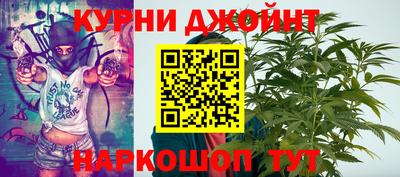 гашик Дубна