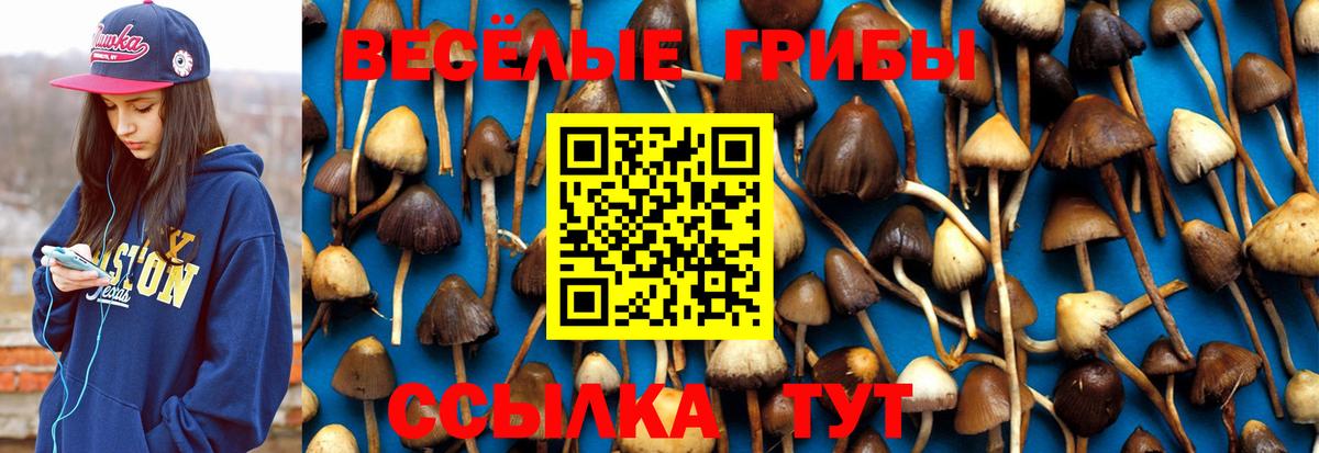 Галлюциногенные грибы прущие грибы  Галлюциногенные грибы Cubensis  Вход с VPN  Иркутск 
